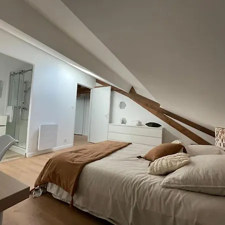 Chambres En Coliving / Coworking Ou Logement Complet Calme En Plein Centre Appartement
