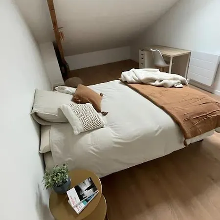Chambres En Coliving / Coworking Ou Logement Complet Calme En Plein Centre Appartement